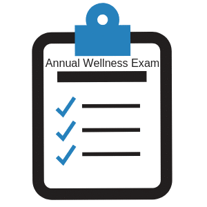 Annual Medicare Wellness Visits